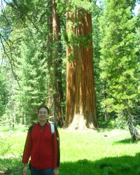 [2008.06.07.yosemite]